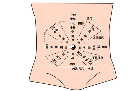 八卦對應身體|八卦各卦与人体脏腑器官对应